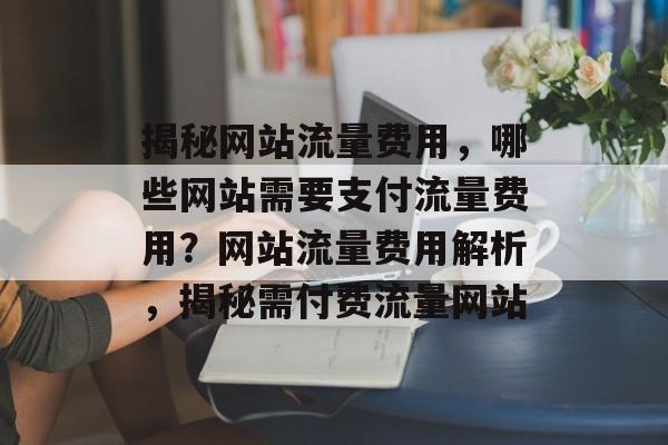 揭秘网站流量费用，哪些网站需要支付流量费用？网站流量费用解析，揭秘需付费流量网站