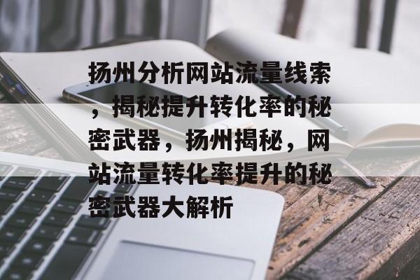 扬州分析网站流量线索，揭秘提升转化率的秘密武器，扬州揭秘，网站流量转化率提升的秘密武器大解析