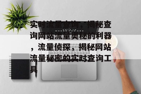 实时流量查询，揭秘查询网站流量奥秘的利器，流量侦探，揭秘网站流量秘密的实时查询工具