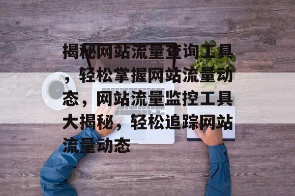 揭秘网站流量查询工具，轻松掌握网站流量动态，网站流量监控工具大揭秘，轻松追踪网站流量动态