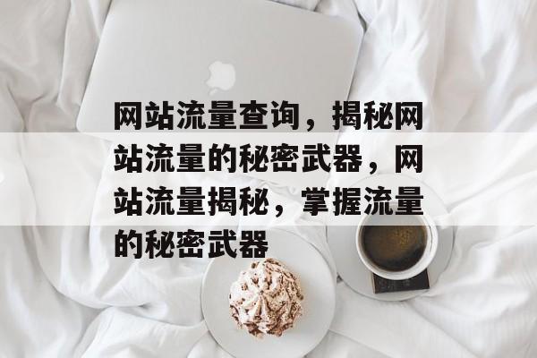 网站流量查询，揭秘网站流量的秘密武器，网站流量揭秘，掌握流量的秘密武器