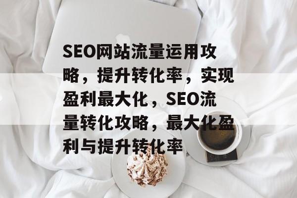 SEO网站流量运用攻略，提升转化率，实现盈利最大化，SEO流量转化攻略，最大化盈利与提升转化率