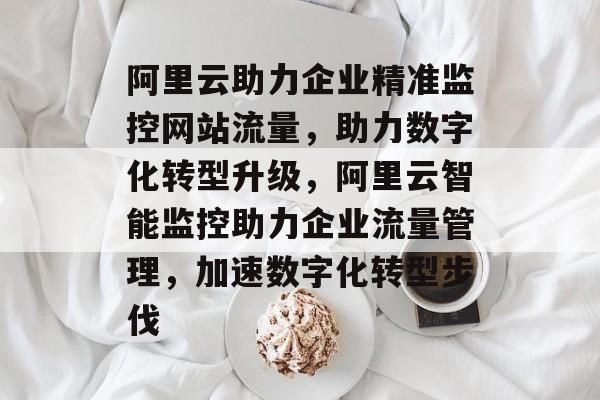 阿里云助力企业精准监控网站流量，助力数字化转型升级，阿里云智能监控助力企业流量管理，加速数字化转型步伐