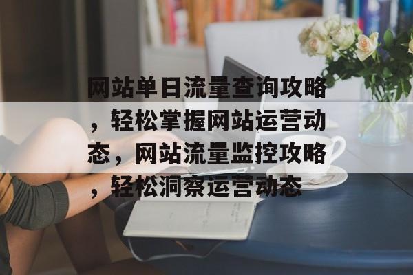 网站单日流量查询攻略，轻松掌握网站运营动态，网站流量监控攻略，轻松洞察运营动态