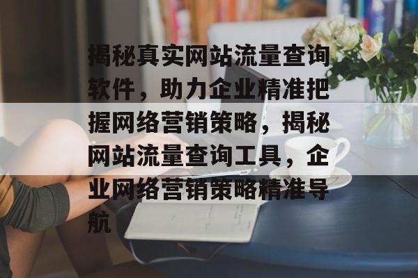 揭秘真实网站流量查询软件，助力企业精准把握网络营销策略，揭秘网站流量查询工具，企业网络营销策略精准导航