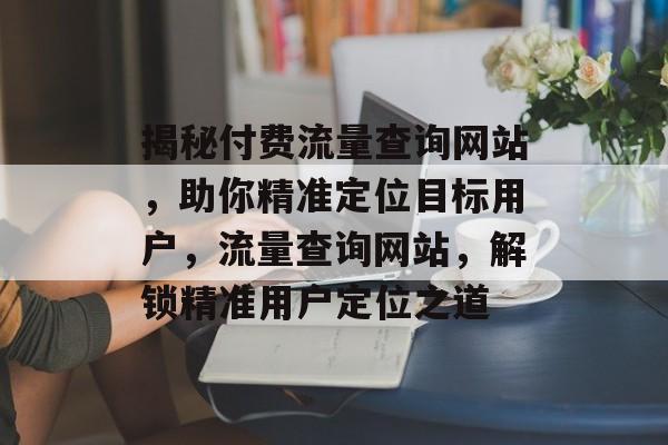 揭秘付费流量查询网站，助你精准定位目标用户，流量查询网站，解锁精准用户定位之道