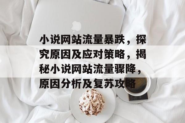 小说网站流量暴跌，探究原因及应对策略，揭秘小说网站流量骤降，原因分析及复苏攻略