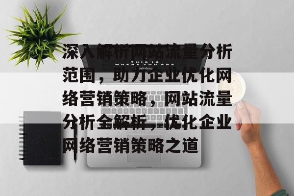 深入解析网站流量分析范围，助力企业优化网络营销策略，网站流量分析全解析，优化企业网络营销策略之道