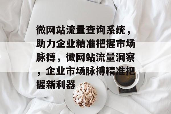 微网站流量查询系统，助力企业精准把握市场脉搏，微网站流量洞察，企业市场脉搏精准把握新利器