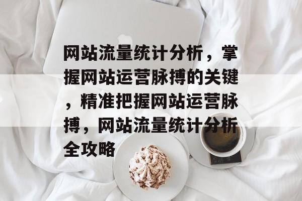 网站流量统计分析，掌握网站运营脉搏的关键，精准把握网站运营脉搏，网站流量统计分析全攻略