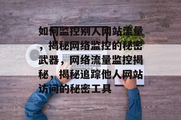 如何监控别人网站流量，揭秘网络监控的秘密武器，网络流量监控揭秘，揭秘追踪他人网站访问的秘密工具