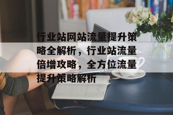 行业站网站流量提升策略全解析，行业站流量倍增攻略，全方位流量提升策略解析