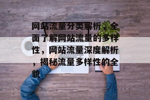 网站流量分类解析，全面了解网站流量的多样性，网站流量深度解析，揭秘流量多样性的全貌