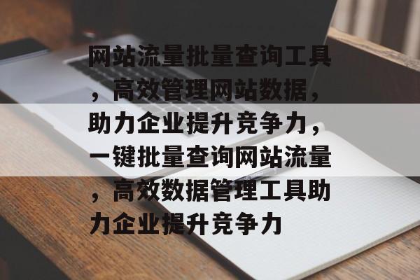 网站流量批量查询工具，高效管理网站数据，助力企业提升竞争力，一键批量查询网站流量，高效数据管理工具助力企业提升竞争力