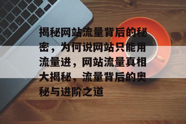 揭秘网站流量背后的秘密，为何说网站只能用流量进，网站流量真相大揭秘，流量背后的奥秘与进阶之道