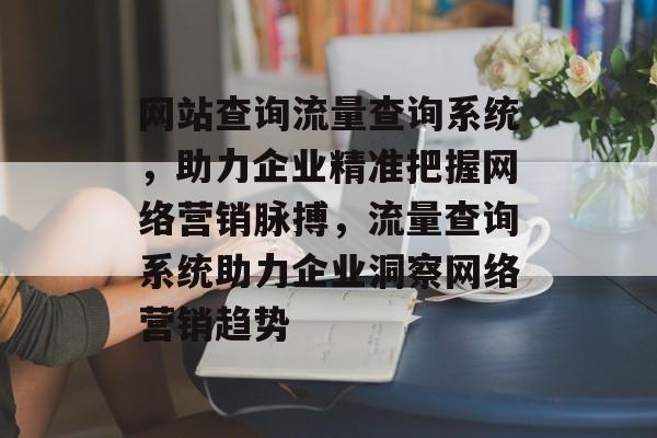 网站查询流量查询系统，助力企业精准把握网络营销脉搏，流量查询系统助力企业洞察网络营销趋势