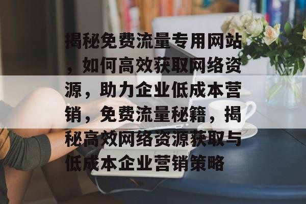 揭秘免费流量专用网站，如何高效获取网络资源，助力企业低成本营销，免费流量秘籍，揭秘高效网络资源获取与低成本企业营销策略
