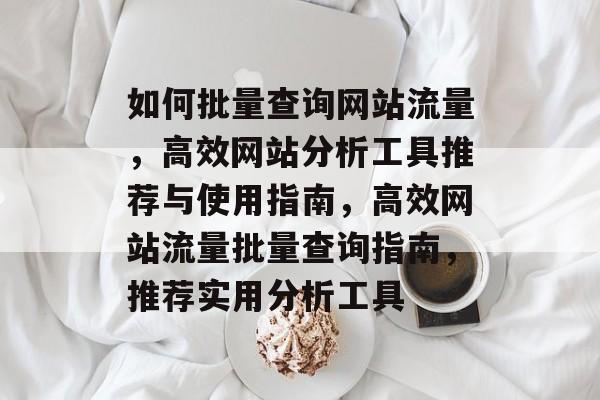 如何批量查询网站流量，高效网站分析工具推荐与使用指南，高效网站流量批量查询指南，推荐实用分析工具
