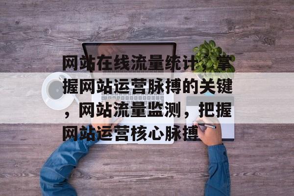 网站在线流量统计，掌握网站运营脉搏的关键，网站流量监测，把握网站运营核心脉搏