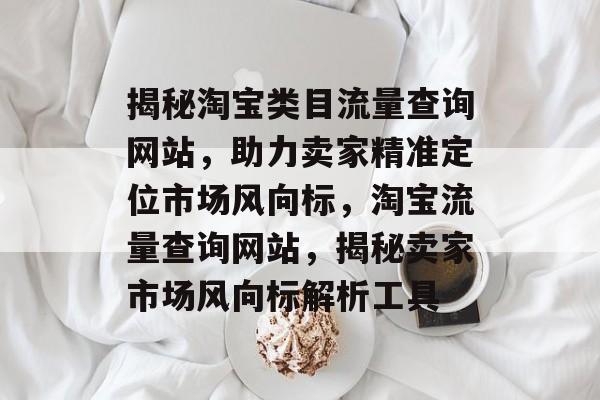 揭秘淘宝类目流量查询网站，助力卖家精准定位市场风向标，淘宝流量查询网站，揭秘卖家市场风向标解析工具