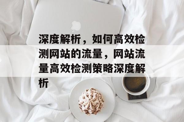 深度解析，如何高效检测网站的流量，网站流量高效检测策略深度解析