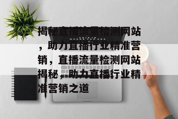 揭秘直播流量检测网站，助力直播行业精准营销，直播流量检测网站揭秘，助力直播行业精准营销之道