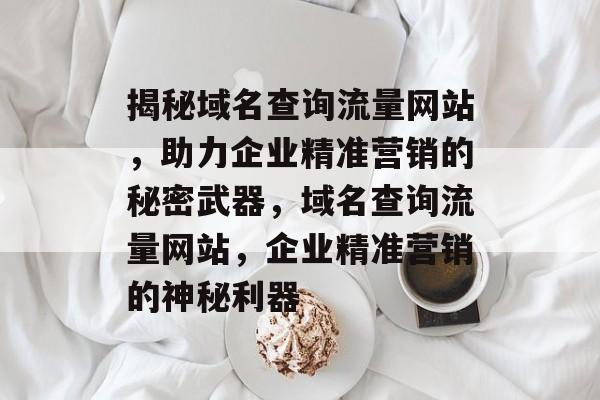 揭秘域名查询流量网站，助力企业精准营销的秘密武器，域名查询流量网站，企业精准营销的神秘利器