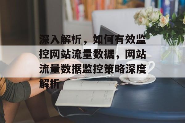 深入解析，如何有效监控网站流量数据，网站流量数据监控策略深度解析