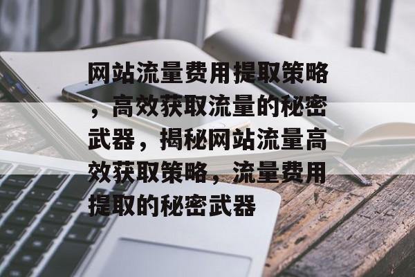 网站流量费用提取策略，高效获取流量的秘密武器，揭秘网站流量高效获取策略，流量费用提取的秘密武器