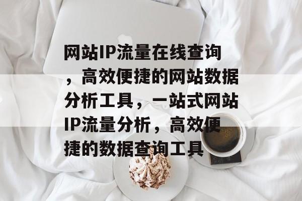 网站IP流量在线查询，高效便捷的网站数据分析工具，一站式网站IP流量分析，高效便捷的数据查询工具