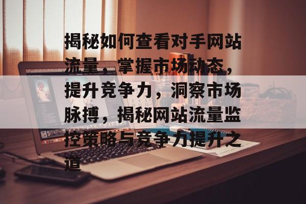 揭秘如何查看对手网站流量，掌握市场动态，提升竞争力，洞察市场脉搏，揭秘网站流量监控策略与竞争力提升之道