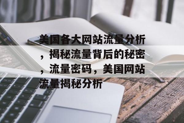 美国各大网站流量分析，揭秘流量背后的秘密，流量密码，美国网站流量揭秘分析