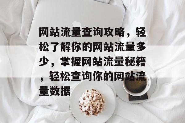网站流量查询攻略，轻松了解你的网站流量多少，掌握网站流量秘籍，轻松查询你的网站流量数据