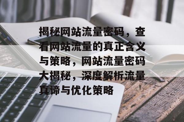 揭秘网站流量密码，查看网站流量的真正含义与策略，网站流量密码大揭秘，深度解析流量真谛与优化策略