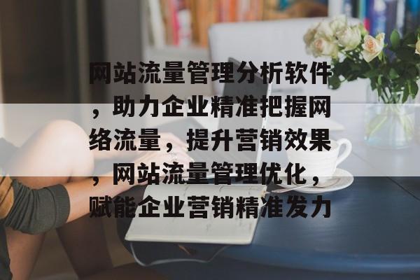 网站流量管理分析软件，助力企业精准把握网络流量，提升营销效果，网站流量管理优化，赋能企业营销精准发力