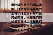 揭秘吸引用户的网站类型，打造你的网络魅力之地，打造吸引用户目光的网站，揭秘热门网站类型秘诀，揭秘热门网站类型，打造吸睛网络空间的策略指南