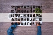 企业网站自然流量的秘密，如何吸引搜索引擎的青睐，揭秘企业网站自然流量增长之道，搜索引擎青睐的吸引力法则