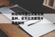 网站如何通过流量实现盈利，全方位流量提升策略解析