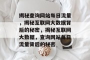 揭秘查询网站每日流量，揭秘互联网大数据背后的秘密，揭秘互联网大数据，查询网站每日流量背后的秘密