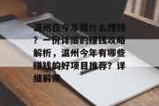 温州在今年做什么赚钱？一份详细的赚钱攻略解析，温州今年有哪些赚钱的好项目推荐？详细解读