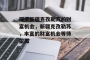 探索新疆克孜勒苏的财富机会，新疆克孜勒苏，丰富的财富机会等待挖掘