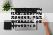 如何精准分析自己网站的流量，全面解析网站流量分析方法，网站流量精准分析指南，全面解析流量分析方法