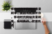 移动时代下的网站流量刷单，挑战与机遇并存，移动时代网站流量刷单，应对挑战，把握机遇