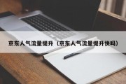 京东人气流量提升（京东人气流量提升快吗）