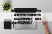 揭秘网站流量查询原理，掌握流量背后的秘密，网站流量揭秘，解码流量背后的奥秘