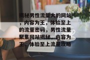 揭秘男性流量大的网站，内容为王，体验至上的流量密码，男性流量聚集网站揭秘，内容为王，体验至上流量攻略