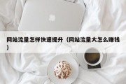 网站流量怎样快速提升（网站流量大怎么赚钱）