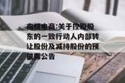 南极电商:关于控股股东的一致行动人内部转让股份及减持股份的预披露公告