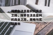 探索合法且盈利的商业之路，探索合法且盈利的商业之路，策略与实践指南