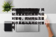 网站提示流量耗尽，揭秘流量背后的真相与应对策略，揭秘网站流量耗尽真相与高效应对策略